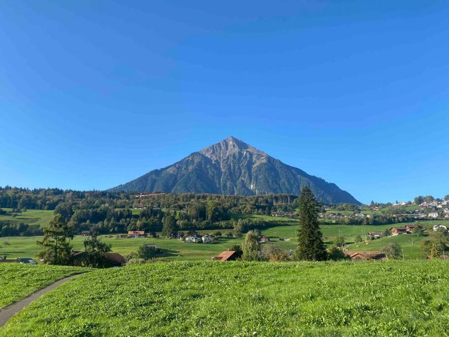 See Und Berge Garden Faulensee Exterior photo